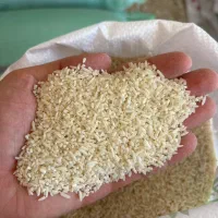 برنج هاشمی اصل تالش ب شرط آزمایشگاه تحویل درب منزل