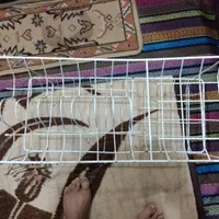آب چکان جنس قدیمی|آب‌چکان و نظم‌دهنده ظروف|قم, شهید صیاد شیرازی|دیوار