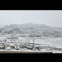 زمین 300 متر مسکونی کوهپایه جنگلی در شهر لیسار|فروش زمین و ملک کلنگی|لیسار, |دیوار