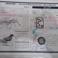 کتاب های ماجرای بیست خیلی سبز دهم و ضمیمه ها|کتاب و مجله آموزشی|تهران, باغ فیض|دیوار