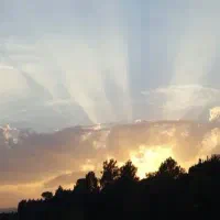 زمین-باغ-ویلایی