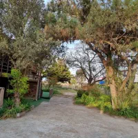 ویلای ساحلی با ۵ متر فاصله از دریا قیمت توافقی|اجارهٔ کوتاهمدت ویلا و باغ|فرح آباد, |دیوار