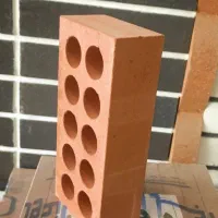 *اجرنما لفتون/لفتون زردوقرمز*