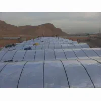 نمایندگی ایزوگام دلیجان|خدمات پیشه و مهارت|اصفهان, لاله|دیوار