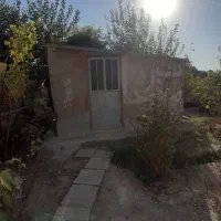 فروش باغچه و زمین