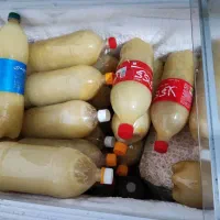 آبلیموی خانگی فریز شده امسالی1404