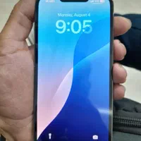 13pro