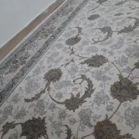 فرش ۱۲ متری و ۶ متری