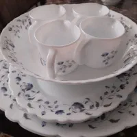 دیس برنج ، کاسه سالاد خوری ، سس خوری