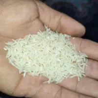 برنج فجر درجه یک.کشاورز.