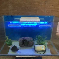 فروش اکواریوم ماهی