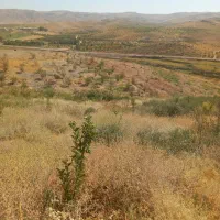 زمین با آب سد ایدغموش که امسال کاشته شده