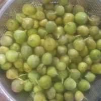 انجیر سبز درجه یک شیرین