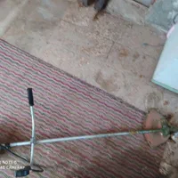 درو کردن یونجه وعلف هرز باغ وشخم زدن زمین زعفران