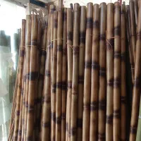 ۴عدد نی بامبو گم کردم