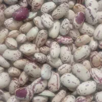 برنج و لوبیا چیتی وارداتی