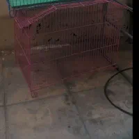 قفس سایز بزرگ