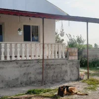 اجاره روزانه ویلا دنج با حیاط سرسبز در دل شالیزار|اجارهٔ کوتاهمدت ویلا و باغ|رشت, لاکان|دیوار