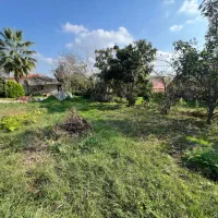 گلخانه|فروش دفتر صنعتی، کشاورزی، تجاری|رشت, حومه رشت|دیوار