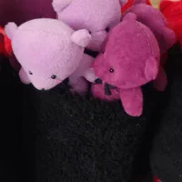 بوکت خرسی کادو همه مناسبت عمده|اسباب‌بازی بچه|پرند, فاز ۵|دیوار