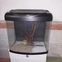 آکواریوم دلسا