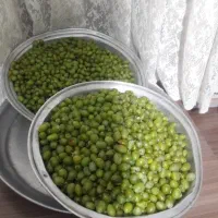 ابغوره خانگی