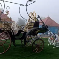 کالسکه اسب|اسب و تجهیزات اسبسواری|کازرون, |دیوار