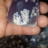 عقیق شجر دار