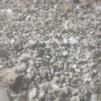 کود کبوتر تمیز و خشک