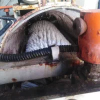 قالیشویی ومبل شویی عصر جدید|خدمات نظافت|چالوس, |دیوار