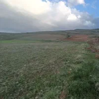 فروش-فوری-زمین-کشاورزی-خلخال-جاده-سرچم