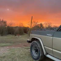 پاترول دو در مدل ۷۷ فابریک و بکر|خودرو سواری و وانت|بهبهان, |دیوار