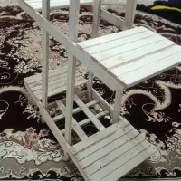 استندگل|گل و گیاه طبیعی|زابل, |دیوار