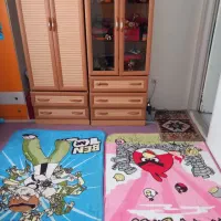 اپارتمان اجاره در شهرک دانشگاه محمدشهر|اجارهٔ آپارتمان|محمدشهر, ولدآباد|دیوار