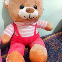 خرس|کلکسیون و سرگرمی|فولادشهر, فولادشهر|دیوار