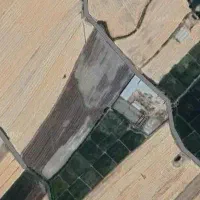 اجاره زمین کشاورزی