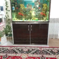 فروش اکواریوم بزرگ و قشنگ