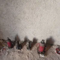 وسایل جلوبندی و اگزوز سازی|ماشینآلات صنعتی|داراب, |دیوار