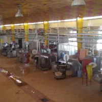کارخانه فرآوردهای گوشتی سوسیس کالباس همبرگر|فروش دفتر صنعتی، کشاورزی، تجاری|مشهد, رباط طرق|دیوار
