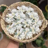 شمع|صنایع دستی و سایر لوازم تزئینی|قم, صفائیه|دیوار