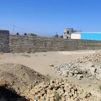 زمین فروشی دشت صفی اباد|فروش زمین و ملک کلنگی|کاشان, صفی آباد|دیوار