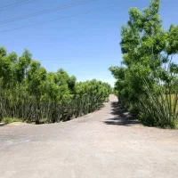 زمین ویلایی لویزان شیان سه