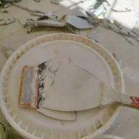 شاگرد نقاشی ساختمان