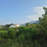 فروش زمین شهرکی|فروش زمین و ملک کلنگی|نشتارود, |دیوار