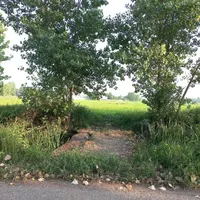 زمین ۳ هکتاری در بلوار دکترپرفسور سمیعی