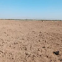 زمین کشاورزی با شرایط عالی در ضیاآباد قزوین|فروش دفتر صنعتی، کشاورزی، تجاری|ضیاء آباد, |دیوار