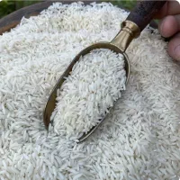 برنج طارم هاشمی