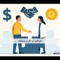 مشارکت مالی در کسب و کار