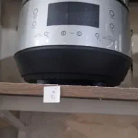 پلوپز دلمونتی