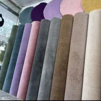 پالازموکت پارامیس(موکت تندیس) ۲۴۴۰